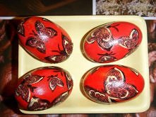 motyle czerwone od góry