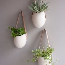 Planter Leather Set Of 3
by Farrah Sit