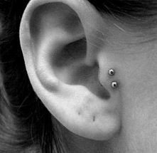 Double tragus