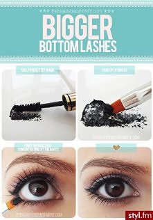 bigger bottom lashes