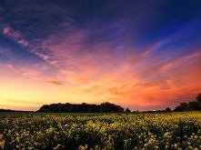 Ile bym dała za taki widok ...