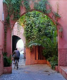 Marrakesh alleyway