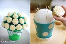 Looking for the perfect pre...