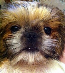 moja sodka mordka :)