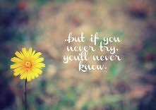 Jeśli nie spróbujesz...