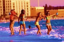 "Poddający się nigdy n...