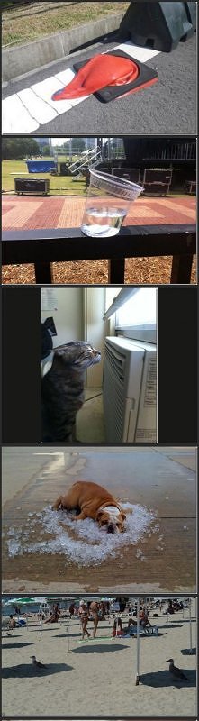 Jesteście pewni,że chcecie ...