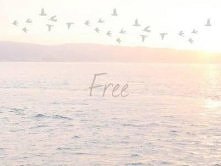 Free <3
