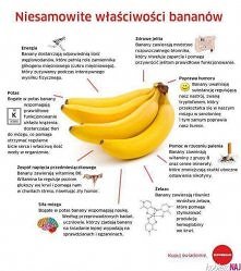 Właściowości banana