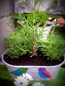 sliwcia.blogspot.com/