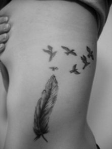 piórko i jaskółki