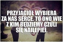 Przyjaciół wybiera...