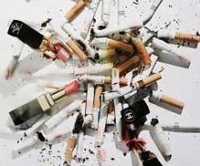 pale pije i maluje , kc.