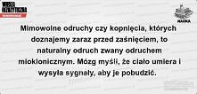 mózg