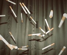 Leeeeeeeeeeeeeeeeeeeeeci!