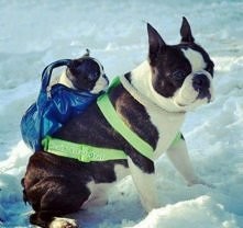 Małych się nie zostawia :)