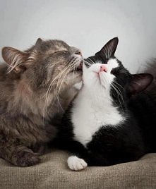 zzzz