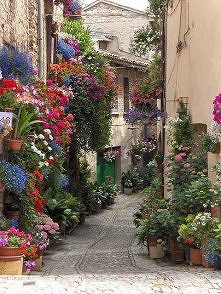 aaa