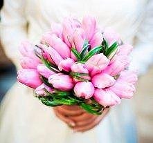 Różowe tulipany jeśli się n...