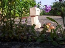 "Kto kocha - małe temu...