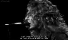 gif
Led Zeppelin <3 Koch...