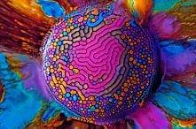 Fabian Oefner i Ferrofluid - Moje Rękodzieło- Blog Galerii CEPELANDIA.PL