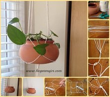      diy plant hanger