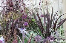 fioletowy ze srebrnym