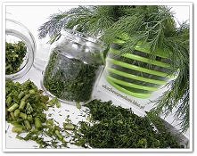 Koperek mrożony
(przepis po kliknięciu w zdjęcie).