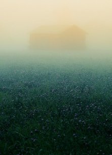 Barn In Very Heavy Fog