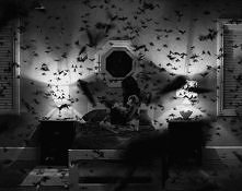 Co żyje, umrzeć musi.