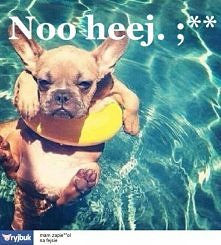 Woda + słońce = wakacje