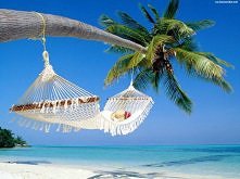 Tylko leżeć i się relaksowa...