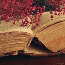 Zapach starych książek