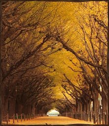 TOP10: Najpiękniejsze tunel...