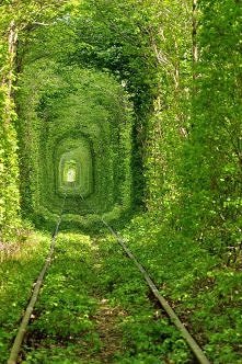 Tunnel of Love - Stary tunel kolejowy w Kleven, Ukraina