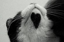 <3