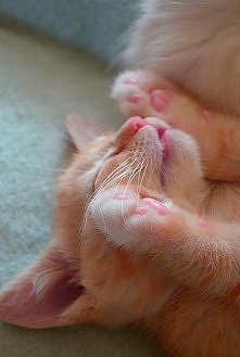 cudowny!