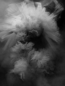 A man can be des­troyed, but not de­feated.