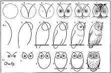 jak narysować sowę