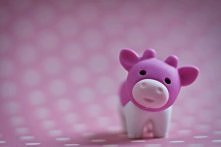 Różowa świnka :-)