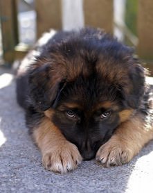 ooooooo jak sweeet<3