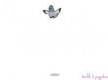 KEVIN =D <3