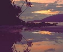 latolaatolatowsziędzie :P