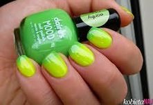 Super zielono - żółte he !