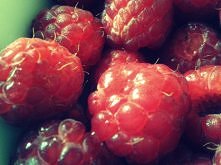 sliwcia.blogspot.com/