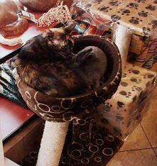 Przyjaźń jest wszędzie