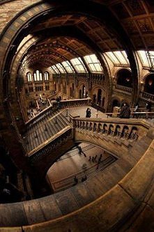 Natural History Museum, Lon...