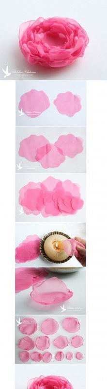  peonies, flowers, peony