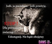 Zróbmy wszystko by tak się ...